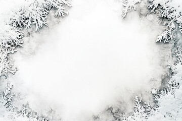 Snow-Covered Branches Frame on White Background