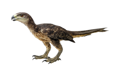 dinosaur model resembling a theropod showcasing its feathered body and distinct features illustrating the connection between modern birds and their prehistoric ancestors