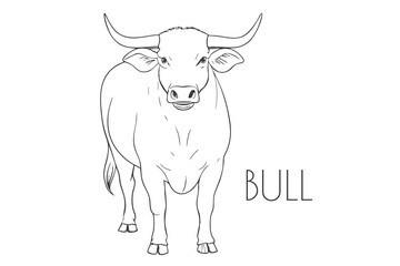 Illustration of a Animal - Bull, Mammalia