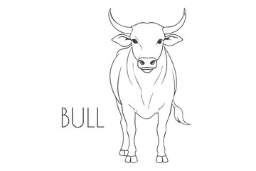 Illustration of a Animal - Bull, Mammalia