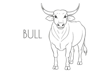 Illustration of a Animal - Bull, Mammalia