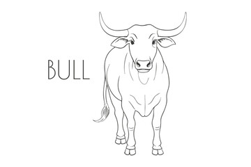 Illustration of a Animal - Bull, Mammalia