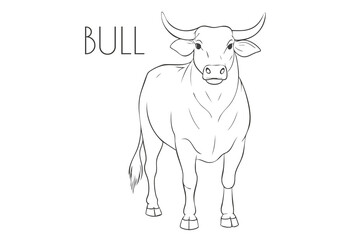 Illustration of a Animal - Bull, Mammalia