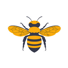 Realistic Illustration of a Detailed Honeybee with Yellow and Black Stripes on a Transparent Background