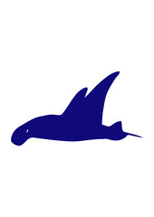 Raie manta silhouette ombre poisson © Scal