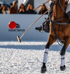 Aspen, polo, winter, horses, winter, sports, tourism