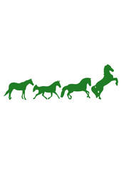animation cheval chevaux