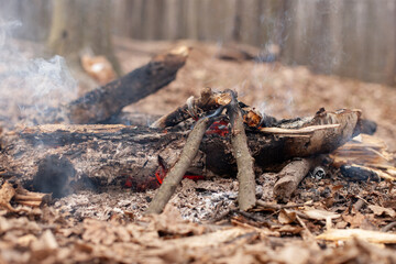 fire in fire place