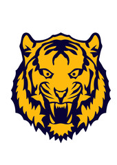 tigre oeil feroce dessin