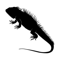 Obraz premium Iguana Silhouette Vector Graphic