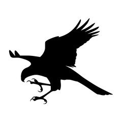 Obraz premium Silhouette Eagle Flying - Graphic Design Element