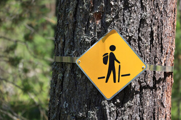 A Bright Yellow Hiking Trail Sign Affixed To A Tree Amidst A Lush Forest Background, Symbolizing...