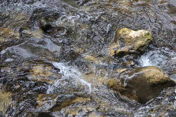 Top Down View Of Clear Mountain Stream Water Rapidly Flowing And Swirling Around Smooth Wet Rocks. Abstract Natural Water Texture Background.