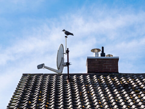 A crow perches atop a rooftop antenna next to a satellite dish and brick chimney with vents, set against a blue sky with soft clouds above a tiled residential roof - Powered by Adobe