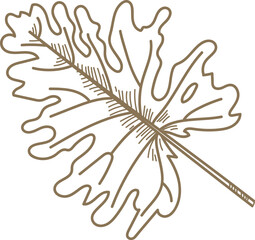 Single Leaf Line Art