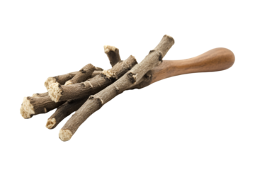 Dried Roots on Wooden Spoon Herbal Remedy Natural Healing