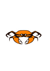  crabe bete tete animal dessin