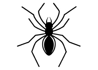 Arachnid Silhouette: A sleek, minimalist illustration presents a spider, its form defined by stark black lines, offering a clean and graphic design element.