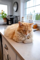 A playful orange cat lounges happily on the countertop, relishing its warm surroundings.