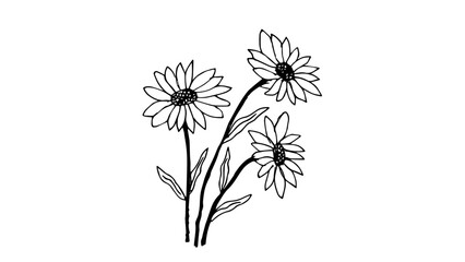 vector illustration of a dandelion