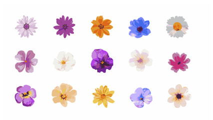 set of multicolored vector flowers 