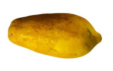 Papaya