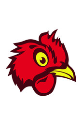 poule domestique dessin