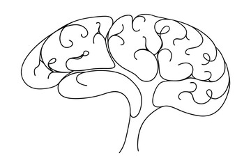 Abstract Human Brain Outline Design For Medical And Educational Purposes Illustrating Knowledge And Cognitive Function With Decorative Curly Lines