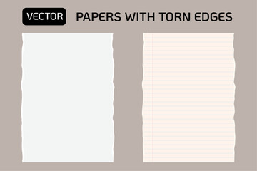 Vector blank papers template with torn edges. Body text background.