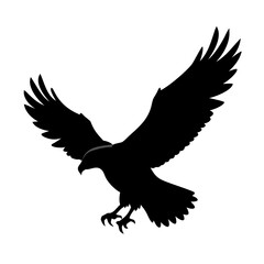 eagle on white background