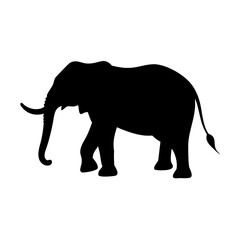 Fototapeta premium elephant silhouette isolated on white