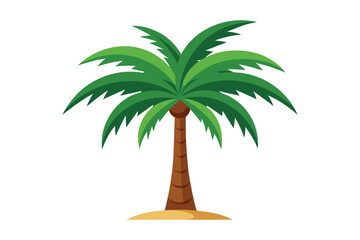 palm tree isolated on white background 