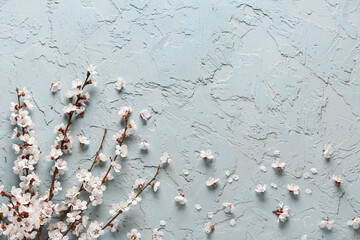 Beautiful blooming tree branches on blue background