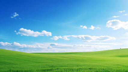 Obraz premium Blue sky, white clouds and green prairie