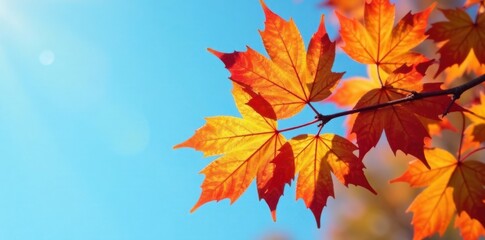 Close-up shot of an autumn branch with leaves in shades of golden yellow and crimson red against a blue sky , orange, red