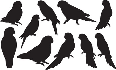 Crimson Rosella Silhouette – Minimal Vector Illustration on White Background