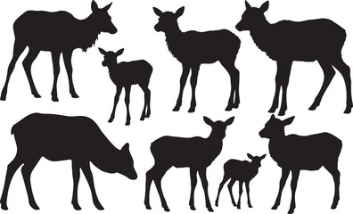 Elk Calf Silhouettes