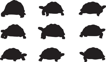 Giant Tortoise Silhouettes
