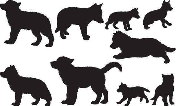 Gray Wolf Pup Silhouettes