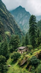 green mountains full of green plants