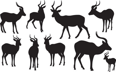 Impala Silhouettes