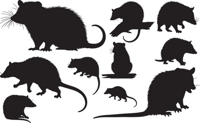 Opossum Silhouettes