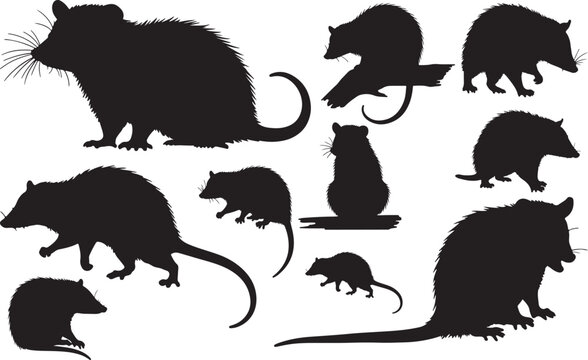 Opossum Silhouettes