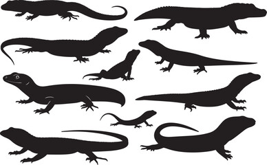 Caiman Lizard Silhouette