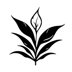 Minimalist Black & White Botanical Leaf Illustration