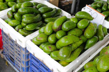 Fresh avocado for sale at a local market in Vietnam