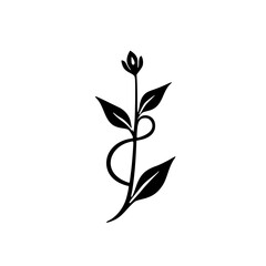 Minimalist Botanical Black Plant Silhouette on White Background