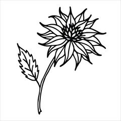 Dried Flower Wall Hanging Vector illustration of an abstract floral design with vintage flower and leaf elements