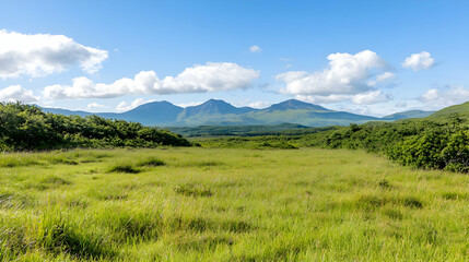Naklejka premium Expansive Green Meadow With Distant Mountains