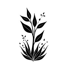 Minimalist Black and White Plant Illustration, Clean Aesthetic